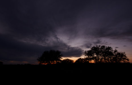 The Dark Night