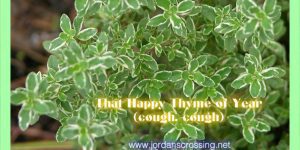 That Happy Thyme of Year (cough, cough) Colds and coughing are no fun. Thyme is a wonderful herb to have on hand to combat coughing and hacking. www.jordanscrossing.net