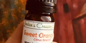 Sweet Orange Oil www.jordanscrossing.net