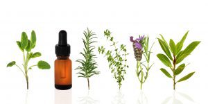 Essential Oil Useage Guide www.jordanscrossing.net