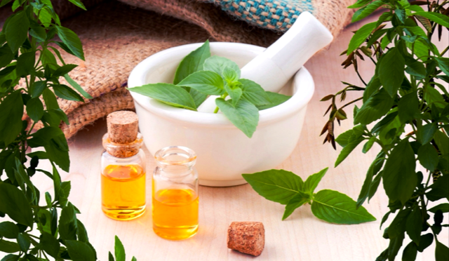 EO Study: Essential Oils as Natural Medicines